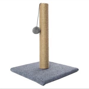 Cat Scratching Post with Gray Base